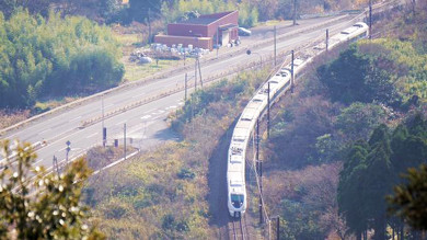 敦賀の名物駅弁 元祖鯛鮨