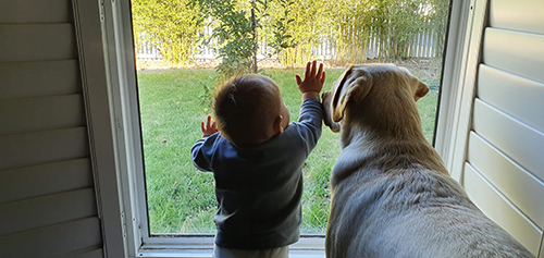 ガラスを勉強中のふたり