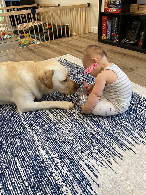 調査するふたり