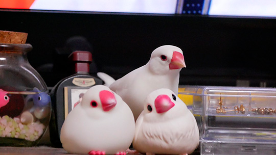 置物にそっくりな文鳥