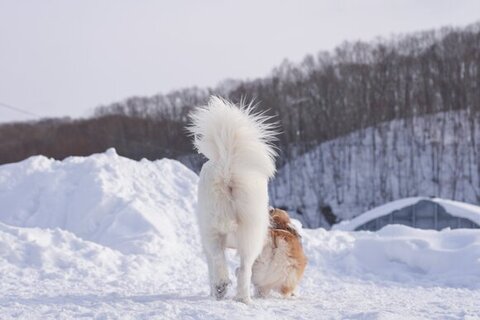 ふたりの後ろ姿
