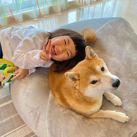 こたろうくんの上に頭をのせるももこちゃん