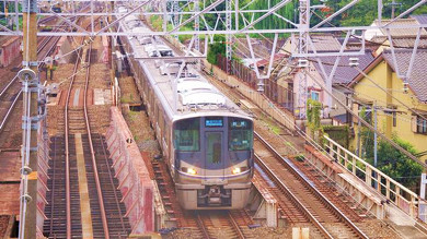 敦賀の名物駅弁 越前かにすし