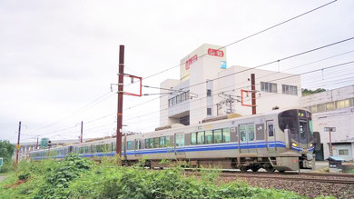 敦賀の名物駅弁 越前かにすし