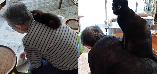 るるちゃんのビフォーアフター