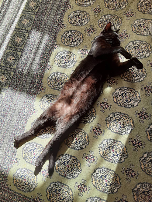 長いるるちゃん