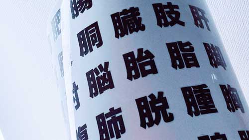 すし湯呑 湯飲み にくづき 漢字 肉 部位