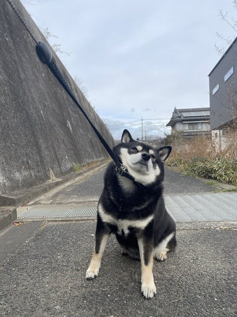 拒否するたろうくん