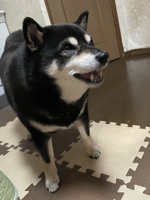 楽しそうなたろうくん