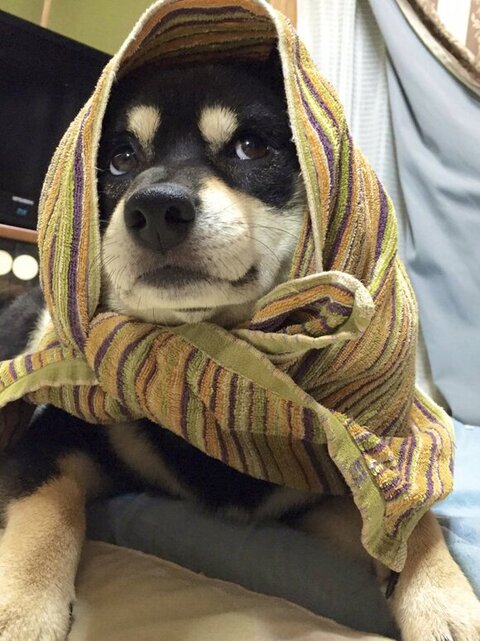 タオル巻いたたろうくん