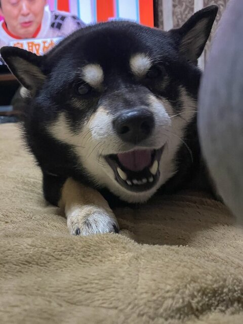 何かしゃべってるたろうくん