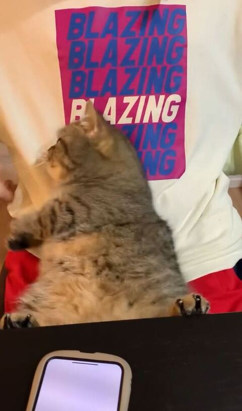 左をむくまるくん