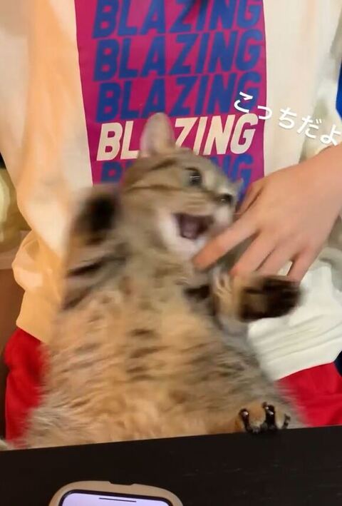 手を発見したまるくん