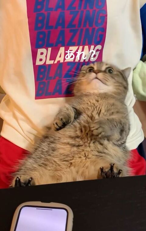 キョトン顔のまるくん