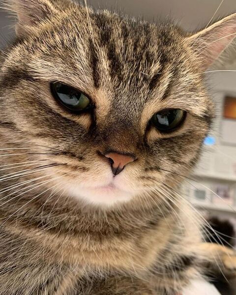 アップのまるくん