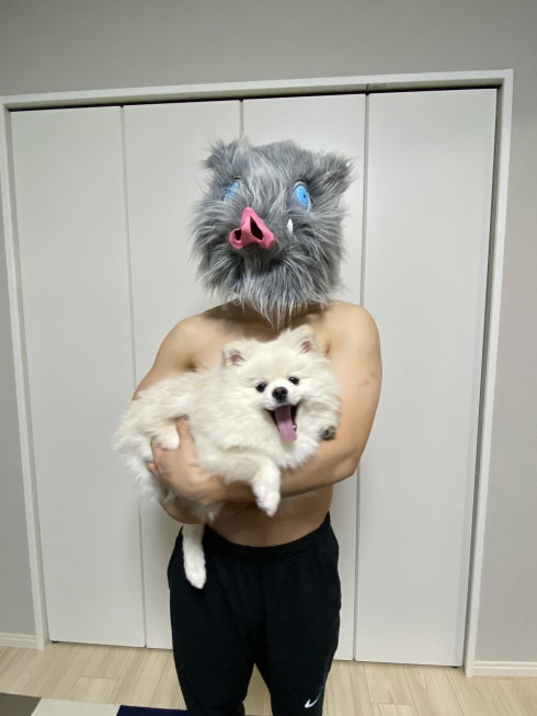 伊之助ボディになるまで毎日腹筋ローラーさん