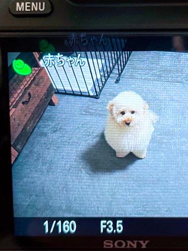 ぺんたくんを赤ちゃん認識アップ