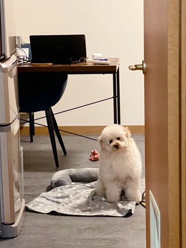 首をかしげるぺんたくん