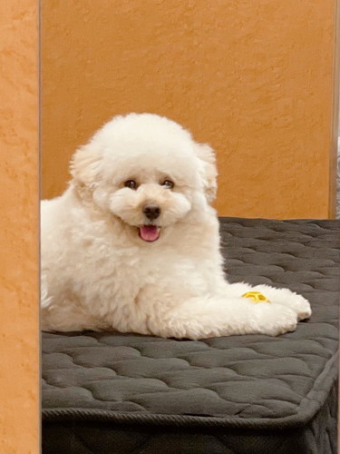 ボール遊びが楽しいぺんたくん