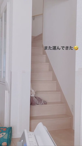 毛布をくわえる猫