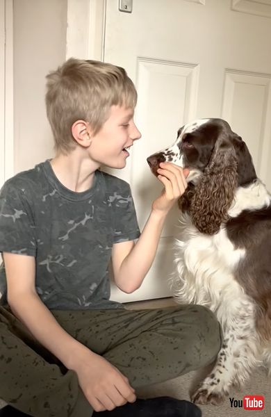 ワンコの話が分かった男の子