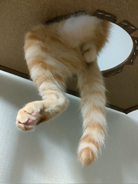 下からアングル