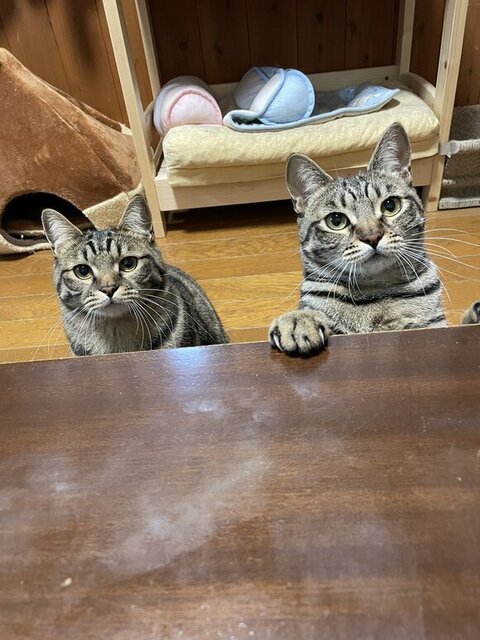 テーブルにいるふたり