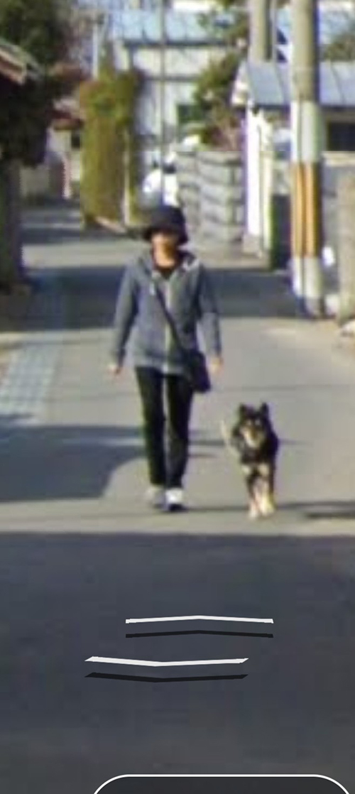 ストリートビュー