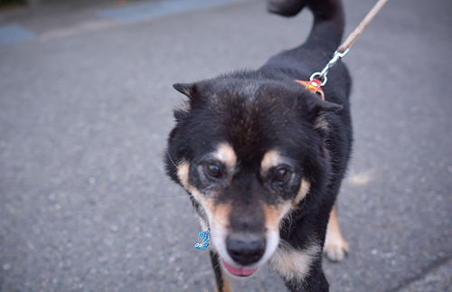 画面に迫るじんくん