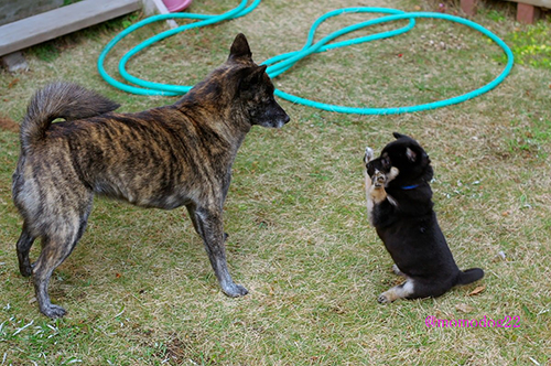 やって来た日のじんくん