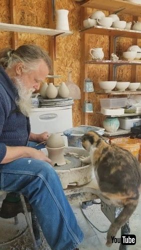 「Cat Plays With Pottery Wheel || ViralHog」