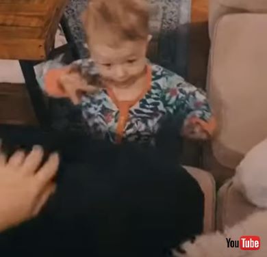 フォースが使える赤ちゃん