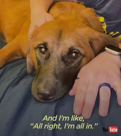 甘えん坊になった保護犬