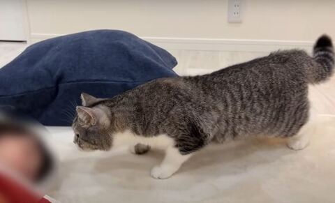 低姿勢で匂いかぐもち様