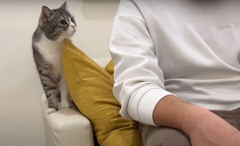 ソファのもち様