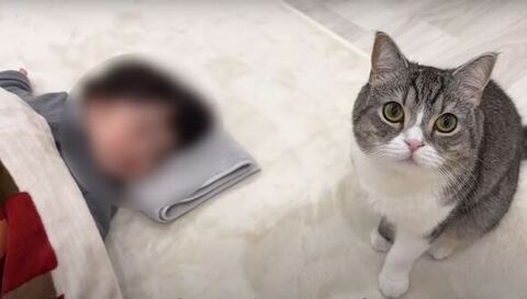 お座りしてるもち様