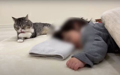 毛づくろいもち様