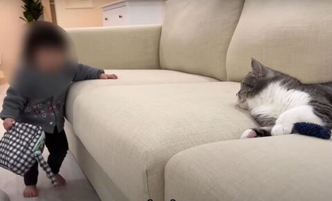 リラックスもち様