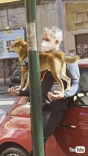 サイレンの音を聞いても微動だにしない飼い主と犬