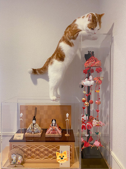 お雛様とこなつくん