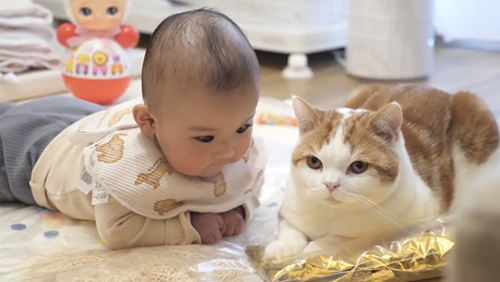 こなつくんの方を見る赤ちゃん