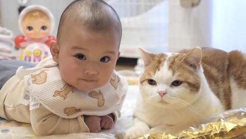 カメラを見る赤ちゃん