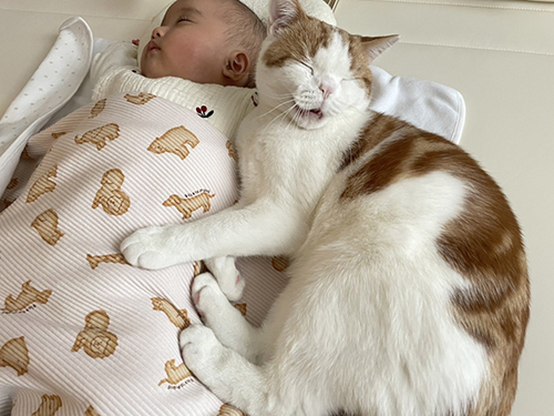 子守歌こなつくん