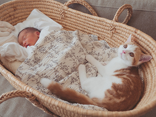 4カ月前のふたり