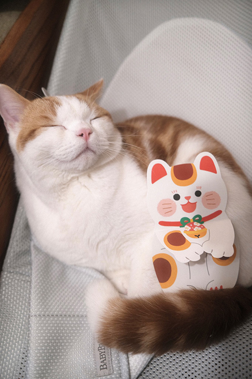 お年玉とこなつくん