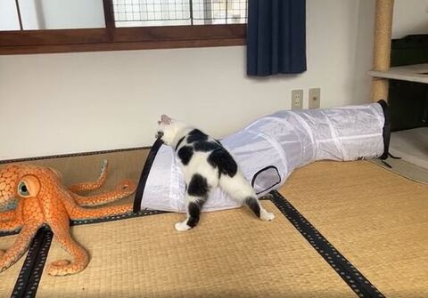 振り返るミチルちゃん