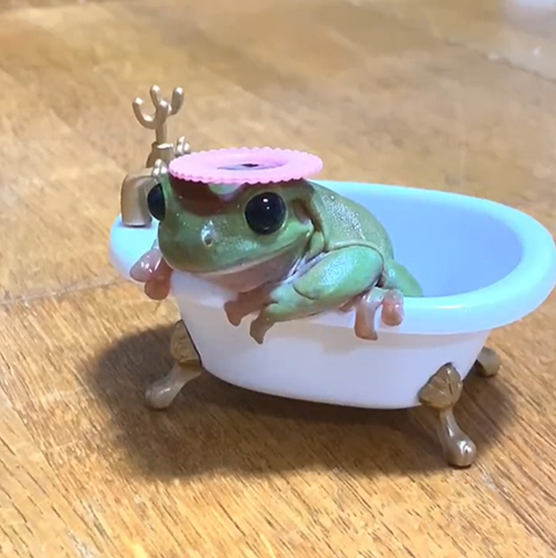 こちらを向く入浴中な花子さん