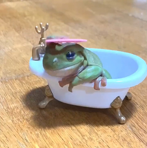 右足を上げる花子さん