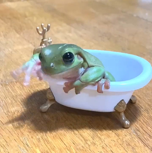 シャンプーハットを投げた花子さん