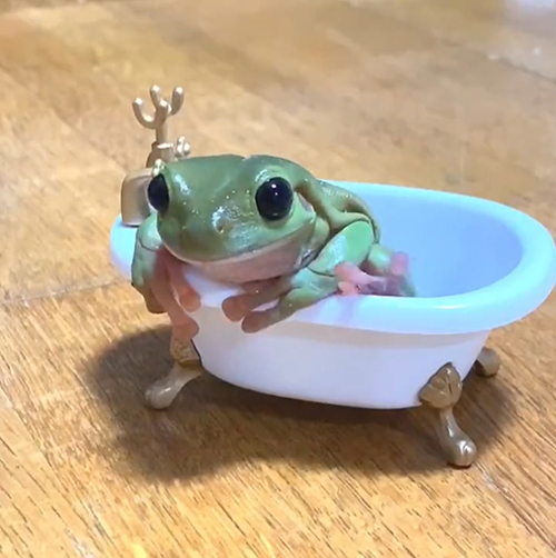 投げた後の花子さん